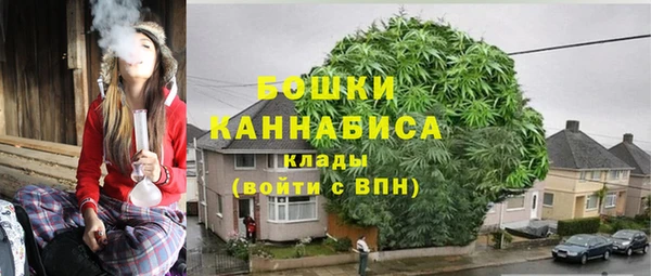 трава Верея